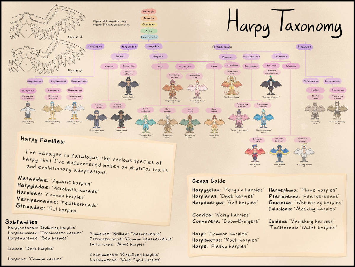 A taxonomy of Harpys